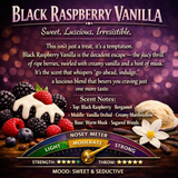 BLACK RASPBERRY VANILLA JAR CANDLE